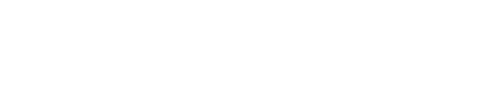 FLEXPRODUCTS